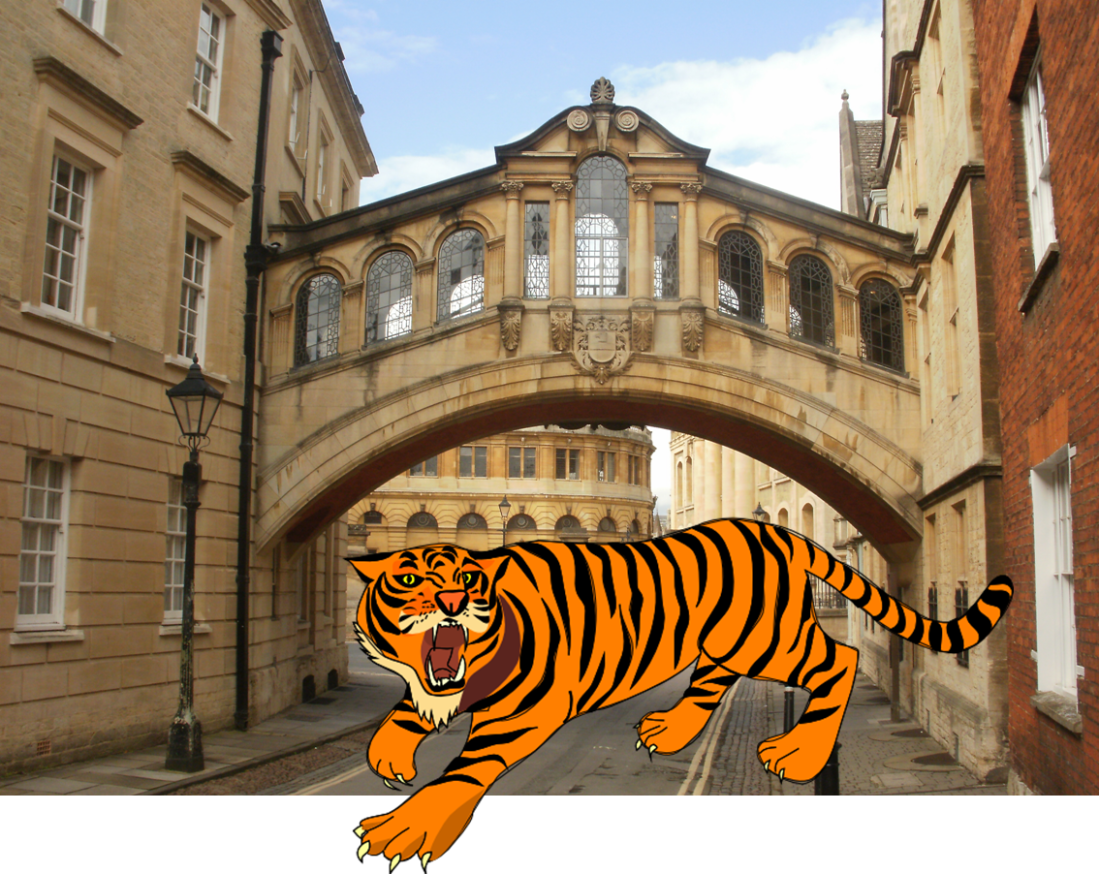 Oxford Tiger